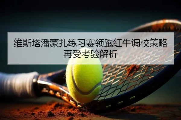 维斯塔潘蒙扎练习赛领跑红牛调校策略再受考验解析